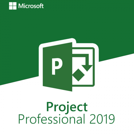 Microsoft Project Professional 2019